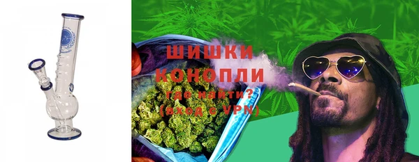 стаф Кулебаки