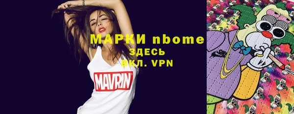 стаф Кулебаки