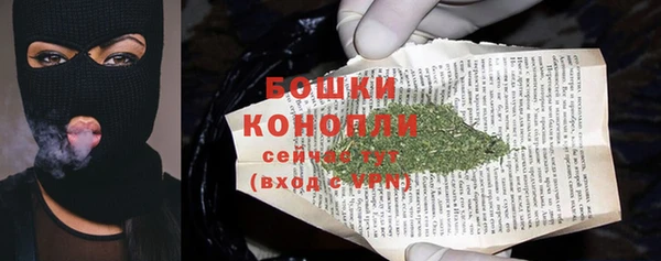 стаф Кулебаки