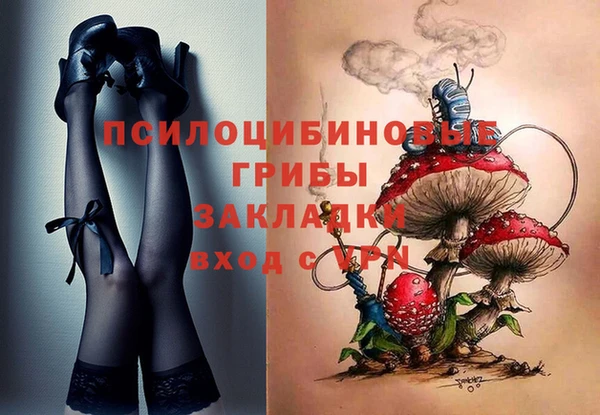 стаф Кулебаки