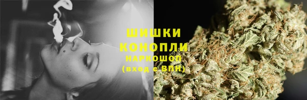 стаф Кулебаки