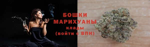 стаф Кулебаки