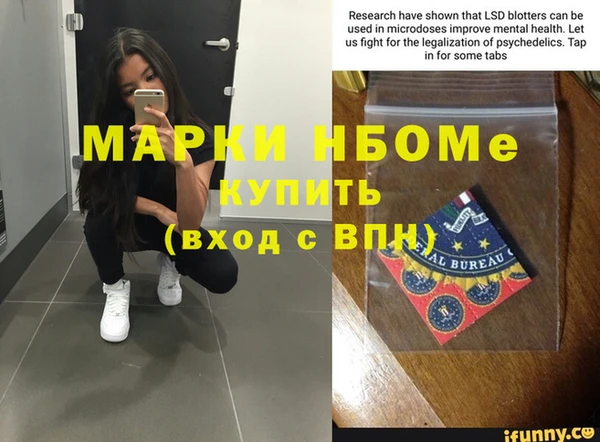 стаф Кулебаки